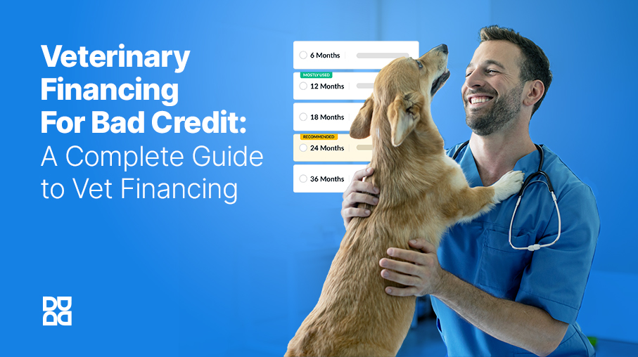 Veterinary Financing for Bad Credit